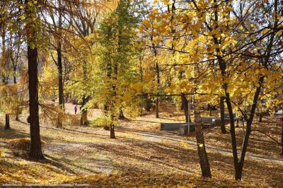 Осенний месячник по благоустройству Рязани стартует 7 октября