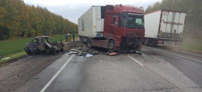 Два человека погибли в ДТП на автодороге Р-22 в Рязанской области