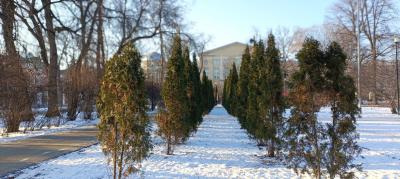 Рязанцам вновь пообещали дождь и мокрый снег