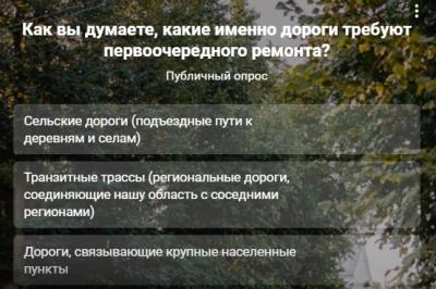 Рязанцам предлагают выбрать приоритетные дороги для ремонта