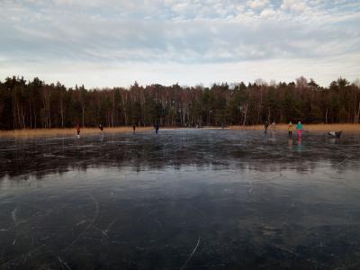 Фото: пользователь соцсети «ВКонтакте» Алексей Сидоров