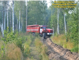 На территории лесного массива в Клепиковском районе замечено задымление
