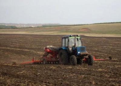 На Рязанщине засеяно более 75% яровых