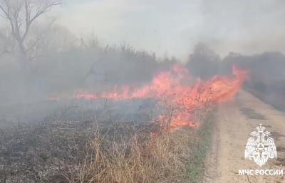 С начала года рязанские огнеборцы потушили более 600 возгораний травы