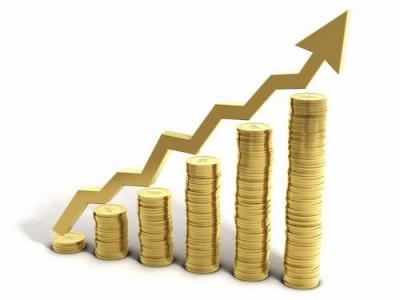 В Рязанской области наибольший темп роста прибыли зафиксирован в производстве кожи