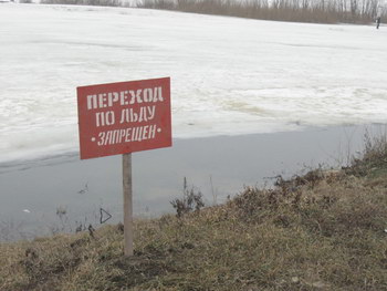 Рязанцев призывают не подвергать опасности свои и чужие жизни