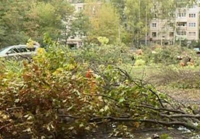 Рязанцы не поделили благоустройство двора