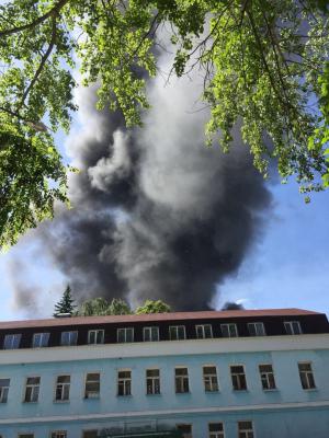 Фото: Марфа Васильева