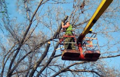 Улица 1-ая Механизаторов в Рязани останется без света