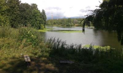 На благоустройство ЦПКиО Рязани в следующем году выделят 19,7 миллиона рублей