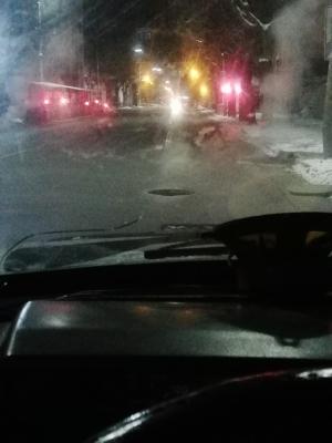 Фото: пользователь соцсети «ВКонтакте» Саша Кулешов