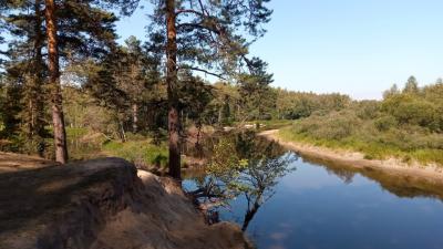 В Рязанской области создадут концепцию туристического освоения Мещёры