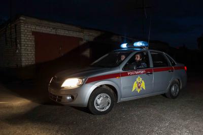 В Новомичуринске росгвардейцы задержали пьяную автоледи без прав