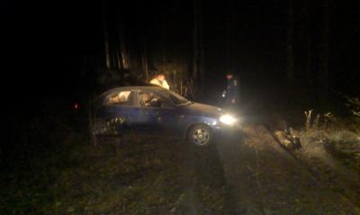 Клепиковских спасателей поблагодарили за вызволение заблудившегося в лесу водителя