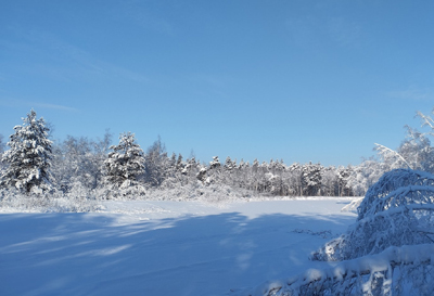 В Окском заповеднике зафиксировали снежный рекорд