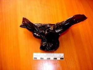 Житель Рязани прятал наркотики в газовой плите