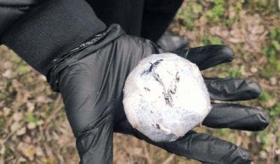 Пойман закладчик оптовых партий наркотиков на окраине Рязани 