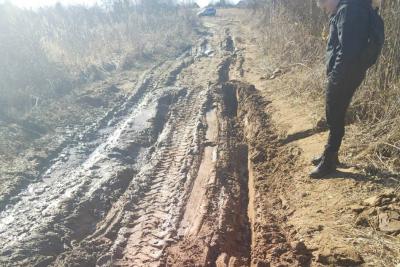 В Клепиковском районе лесовозы превратили дорогу в месиво