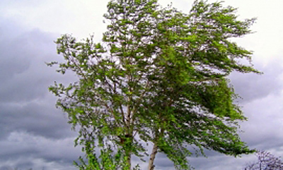 На Рязанщину вновь обрушатся ливни и грозы