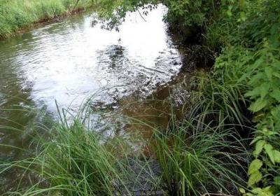 Рязанский облсуд согласился с нижестоящей инстанцией в деле о загрязнении Листвянки