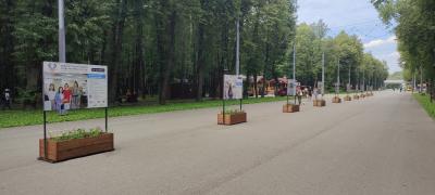 В Лесопарке вновь открылась фотовыставка социальных предпринимателей