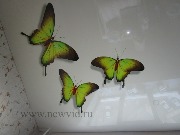 natyazhnoy-potolok-fotopechat.jpg title=