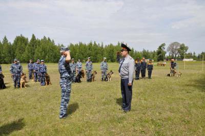 В Варских прошли соревнования кинологов силовых структур региона