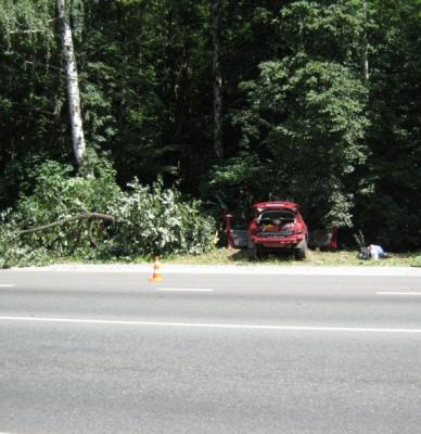 В Ряжском районе иномарка врезалась в дерево