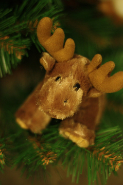 Рязанцам предложили вступить в ряды эко-граждан