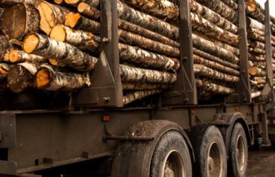 Разбитую лесовозами дорогу под Ермишью обещали починить, но не скоро