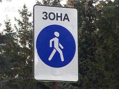 Лесопарк Рязани хотят сделать полностью пешеходным