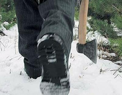 Житель Клепиковского района незаконно срубил две сосны в нацпарке «Мещера»