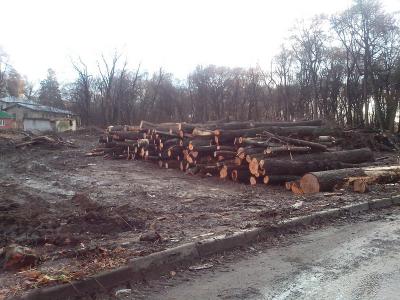 Фото: Влад Бугорков