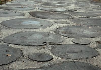 Рязанцы сделали мини-обзор на экотропу в Лесопарке