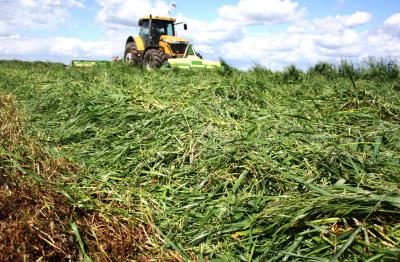 Рязанские аграрии подвели итоги весенней посевной