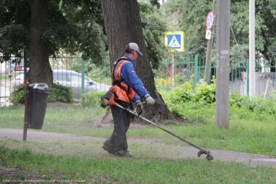 В Рязани продолжают косить траву