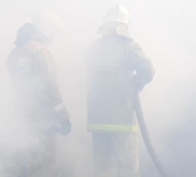 На пожаре в Рыбновском районе погиб мужчина