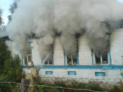 За ночь в Рязанской области сгорело два дома и автомобиль