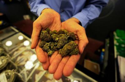 На Рязанщине изъяли свыше восьми килограммов наркотиков