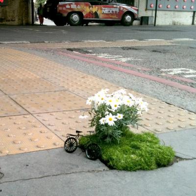 Зелёное движение «ЭКА» объявляет о начале проекта «Школа-сад»