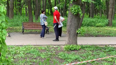 Сотрудники Лесопарка попытались убедить рязанцев соблюдать ограничения