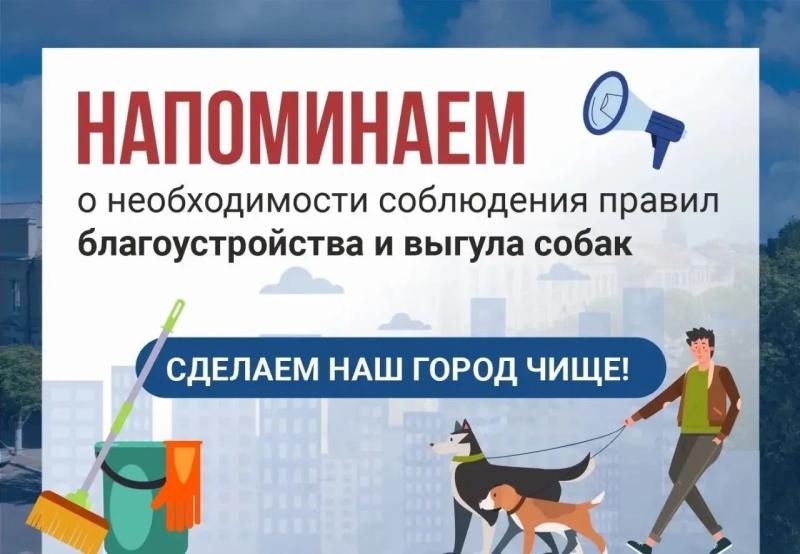 Рязанцев предупредили о штрафах за неправильный выгул собак