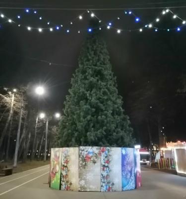 В Лесопарке Рязани установили ёлку