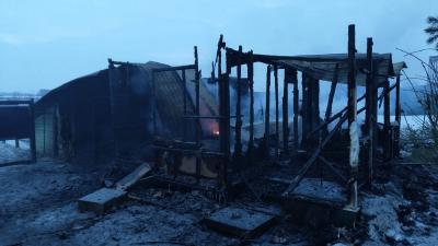 На пожаре в Захаровском районе сгорели 34 курицы