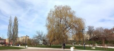 В рязанском регионе потеплеет до 19 градусов