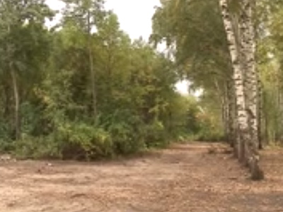 Раскрыта тайна застройки рощи между Канищево и Приокским в Рязани