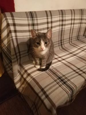 Фото: бар «ЧЕРВЯЧОК»