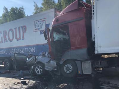 Фото: пользователь соцсети «ВКонтакте» Андрей Сазонов