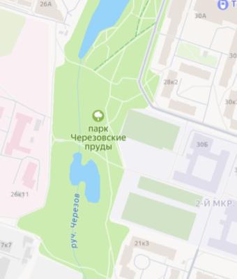 Благоустройство Черезовских прудов в Рязани взяла на контроль прокуратура