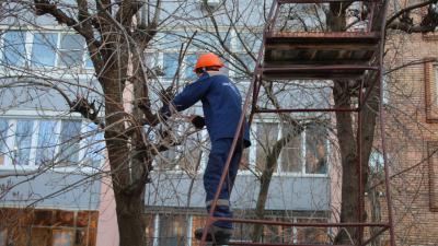 Во всех районах Рязани пройдут субботники